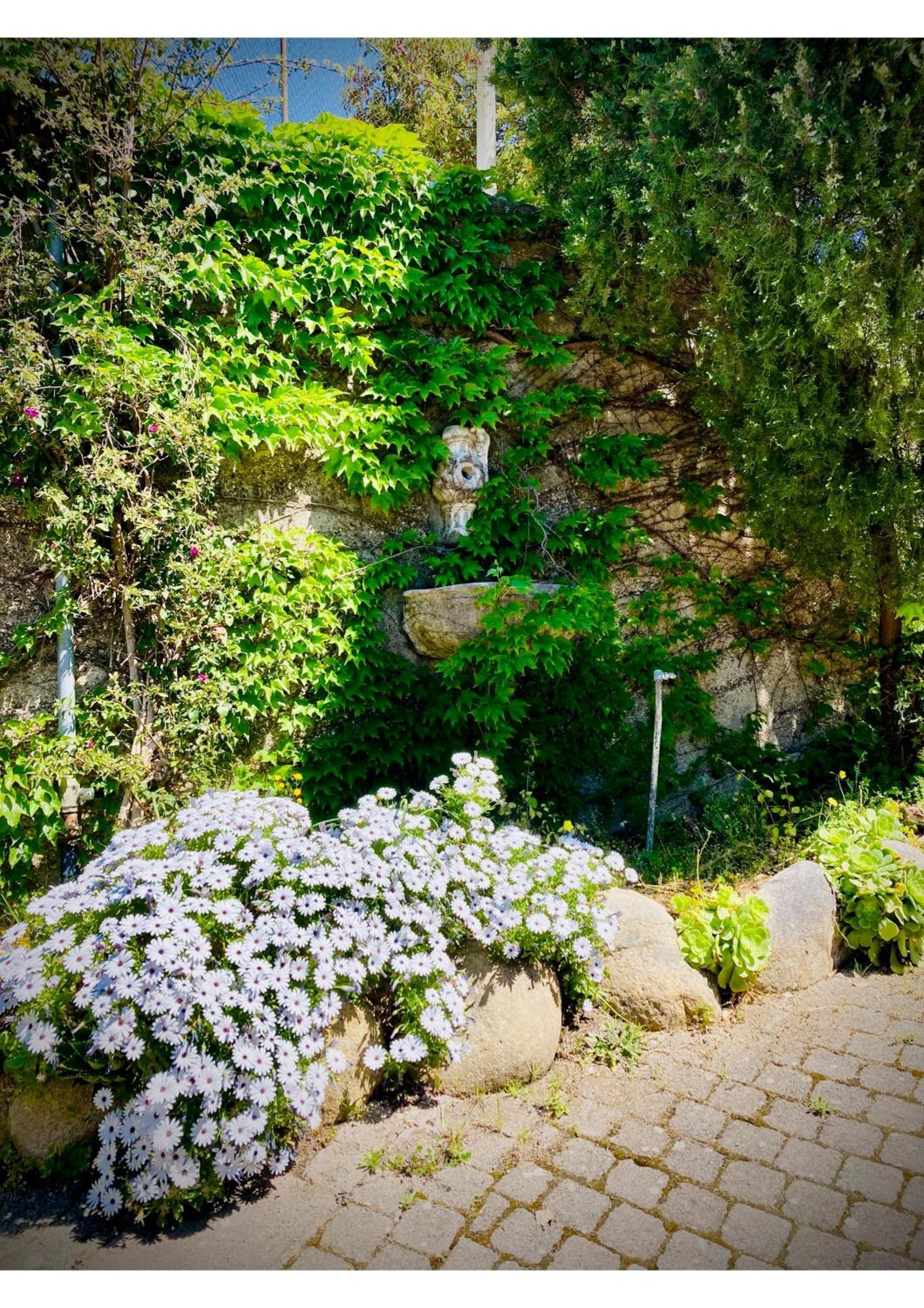 Villa Scilla E Cariddi Messina Eksteriør billede