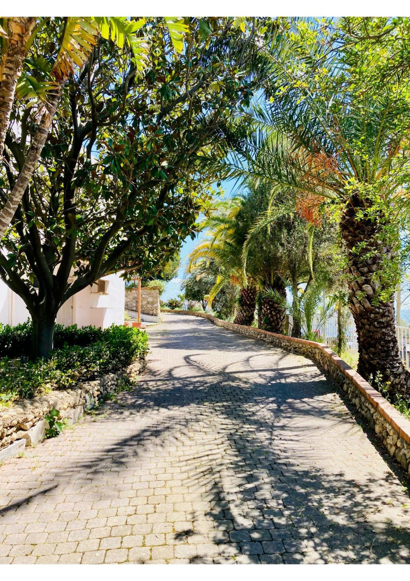 Villa Scilla E Cariddi Messina Eksteriør billede