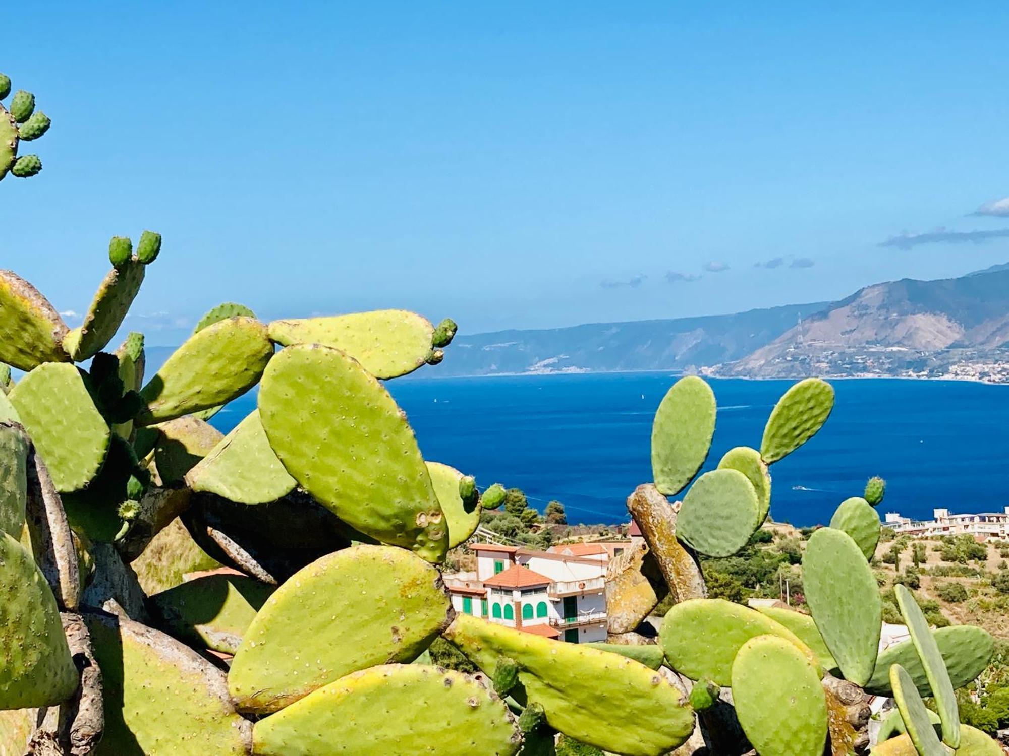 Villa Scilla E Cariddi Messina Eksteriør billede