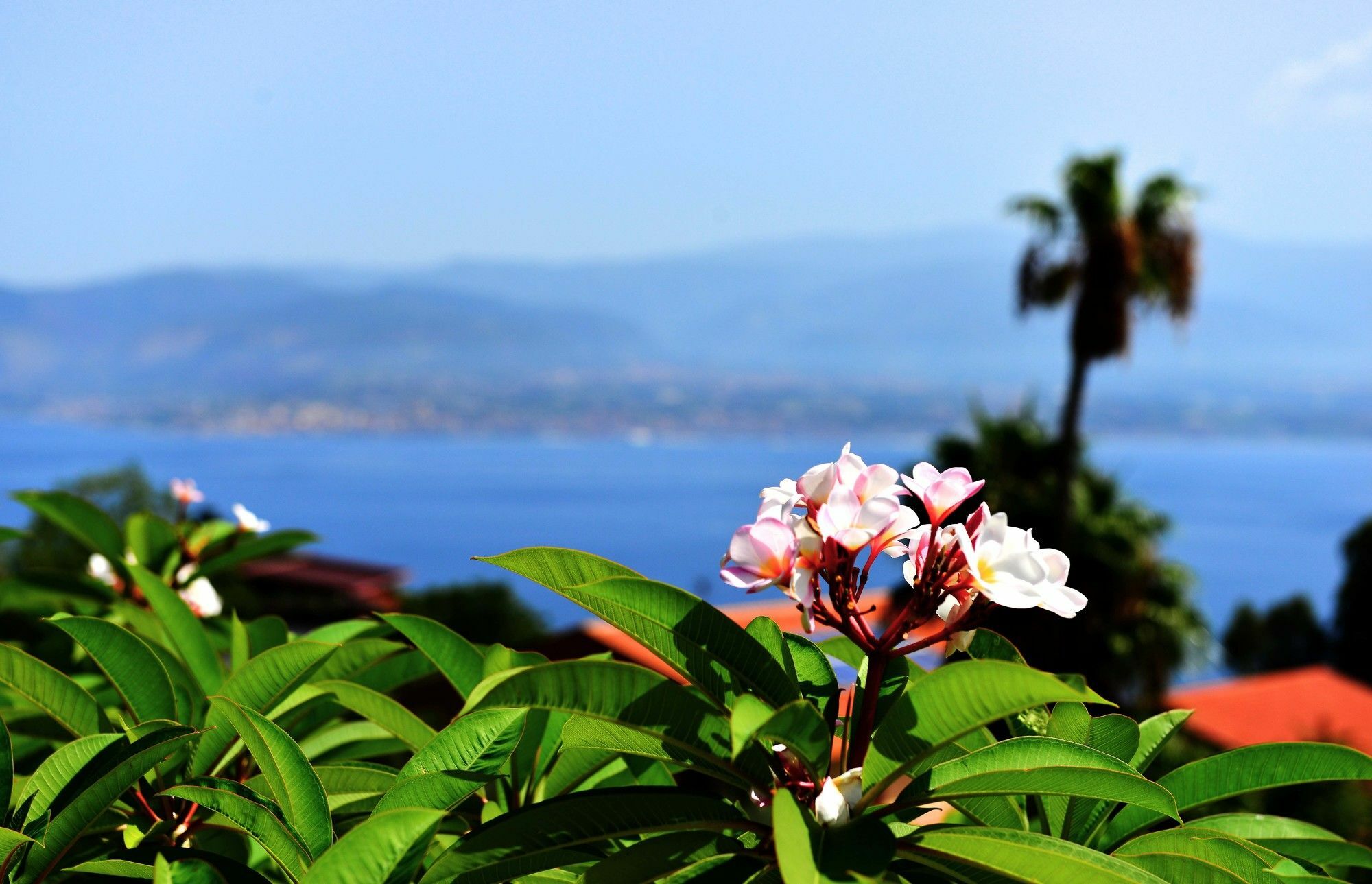 Villa Scilla E Cariddi Messina Eksteriør billede